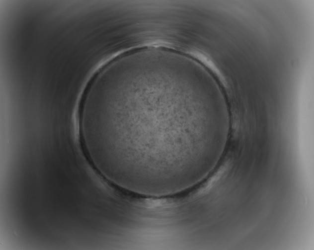 X0000090731032200707201404