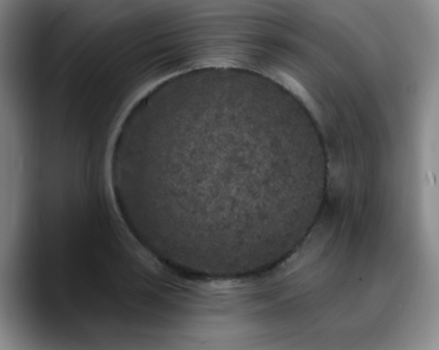 X0000090731035200707201404