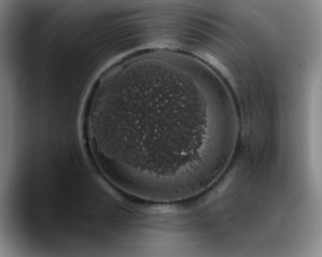 X0000090731037200707201404