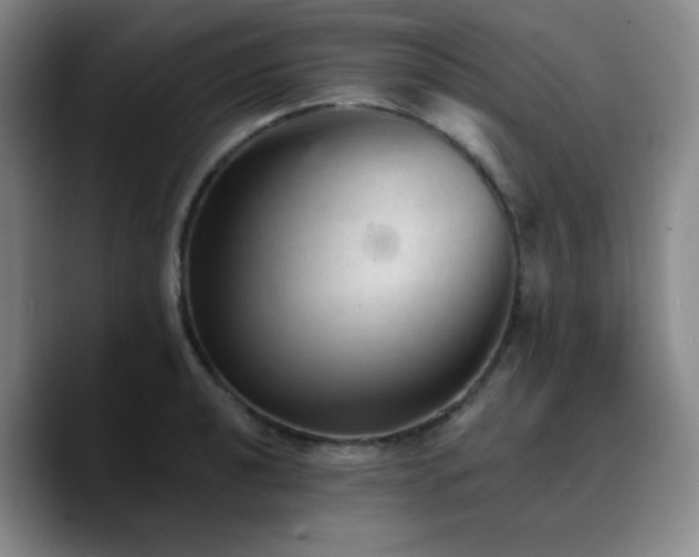 X0000090731040200707201405