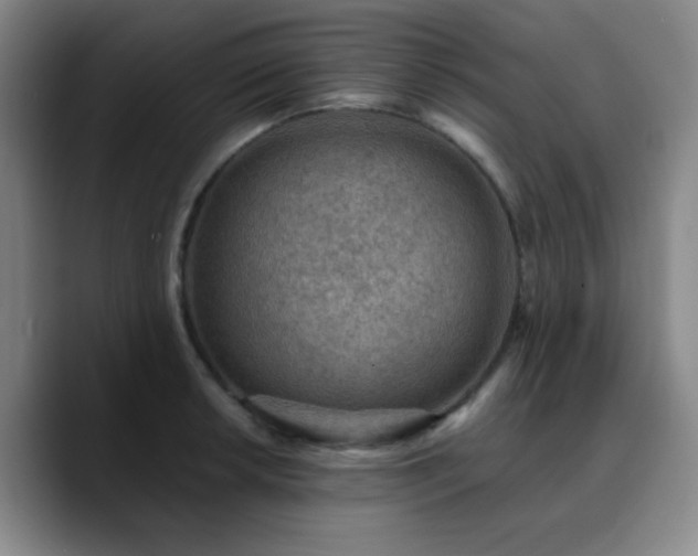 X0000090731042200707201405