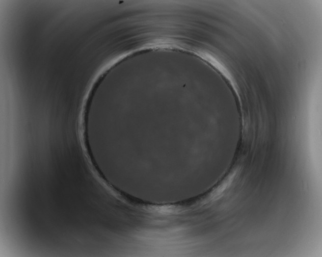 X0000090731045200707201405