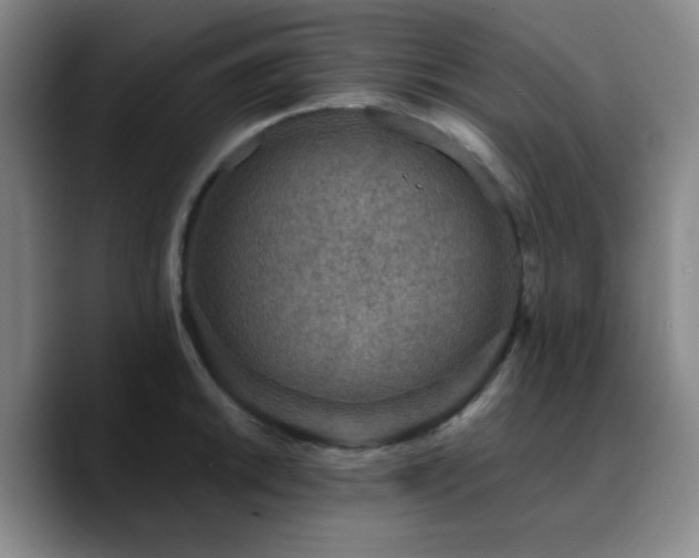 X0000090731046200707201405