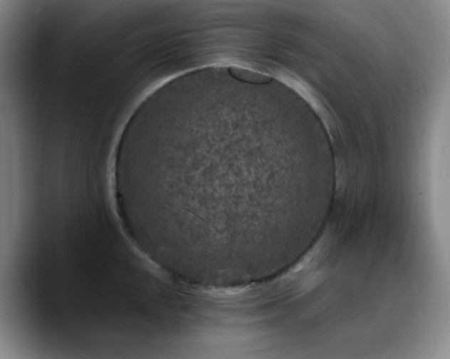 X0000090731048200707201405
