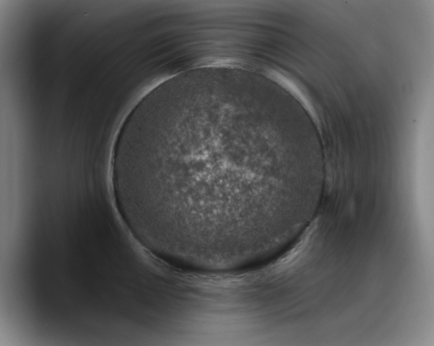 X0000090731050200707201405