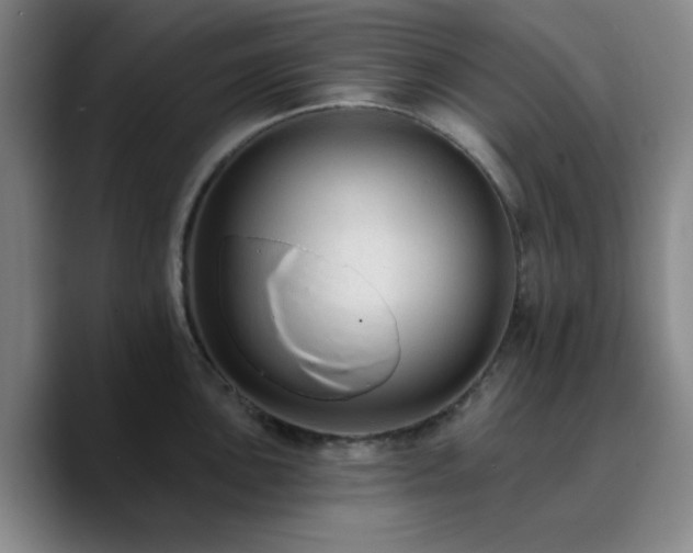 X0000090731051200707201405