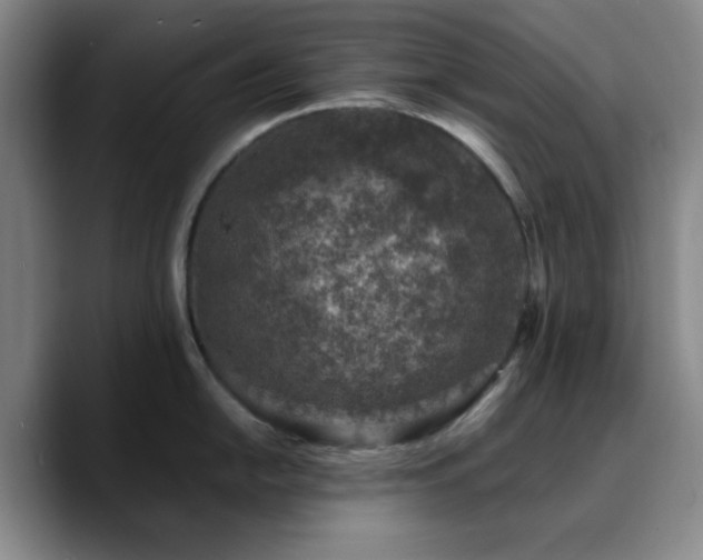 X0000090731054200707201405