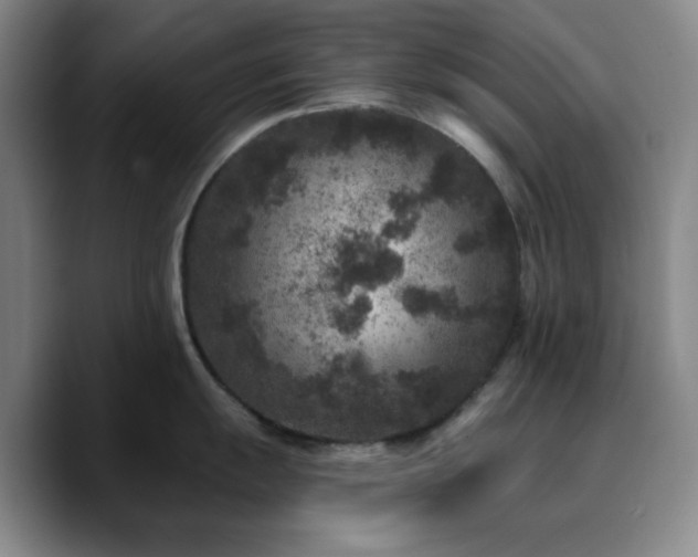 X0000090731055200707201405