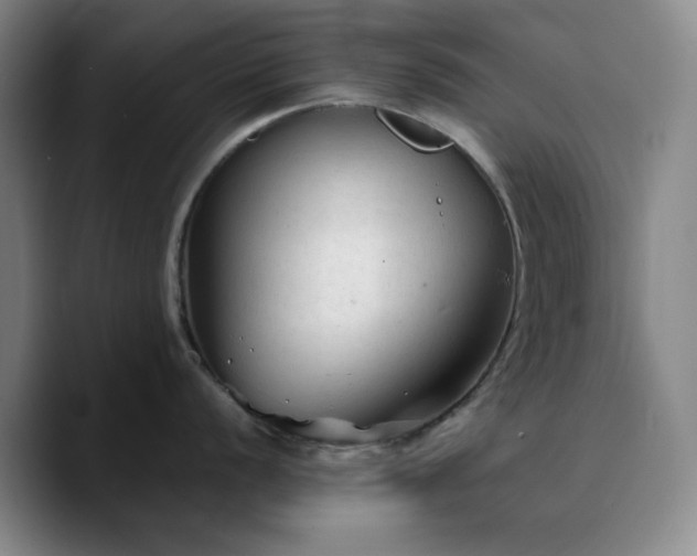 X0000090731056200707201405