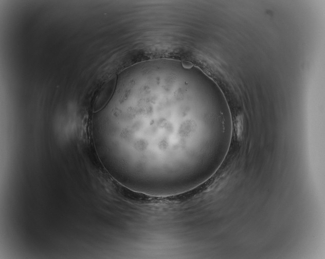 X0000090731059200707201404