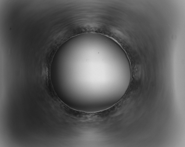 X0000090731061200707201404
