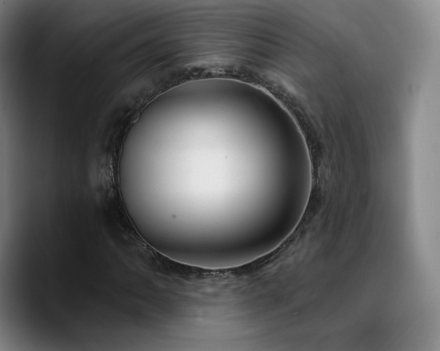 X0000090731062200707201404