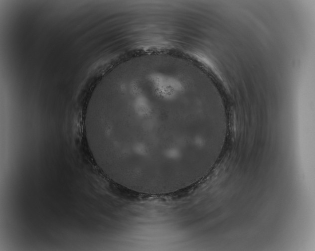 X0000090731063200707201404