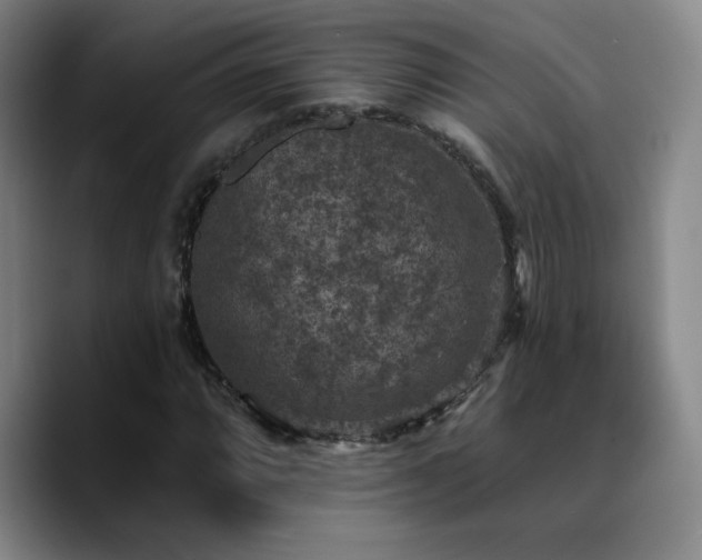X0000090731064200707201404