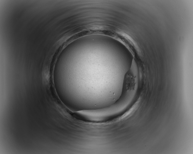 X0000090731065200707201404