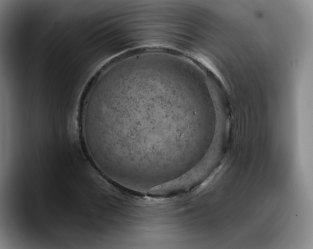 X0000090731068200707201404