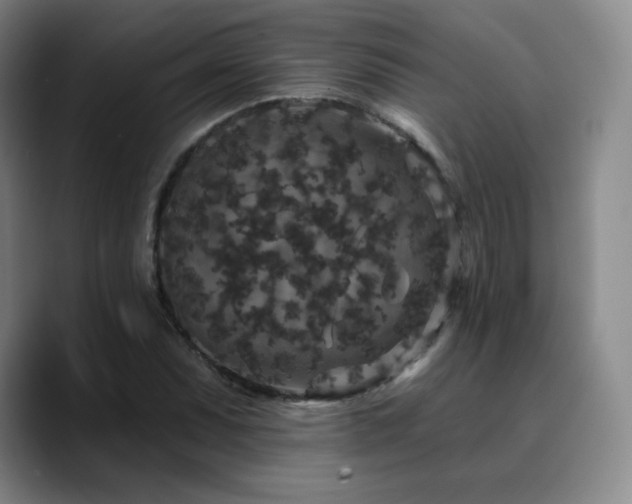 X0000090731071200707201404
