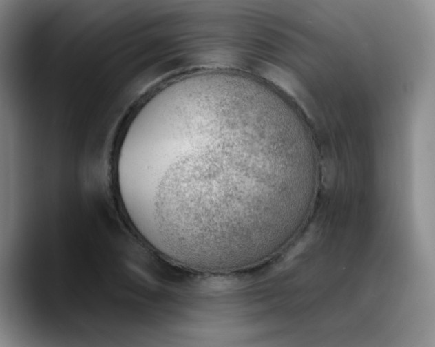 X0000090731074200707201404