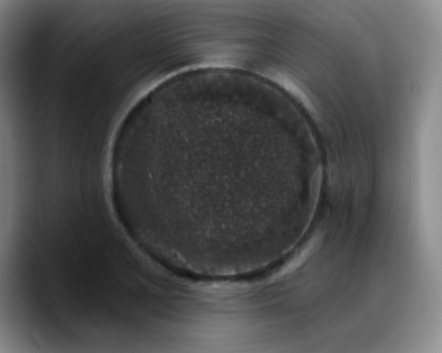 X0000090731077200707201404