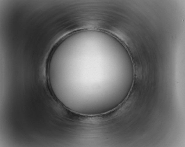 X0000090731078200707201404
