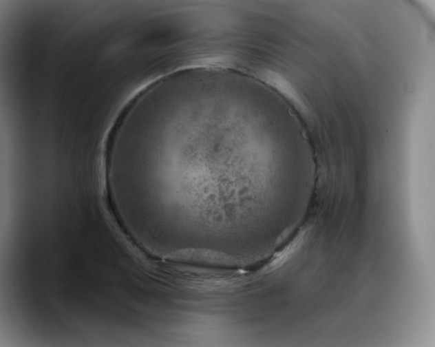 X0000090731079200707201404