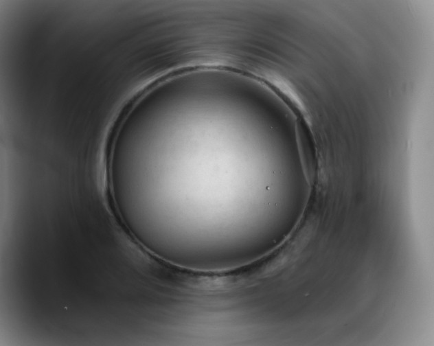 X0000090731080200707201404