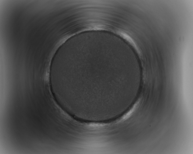 X0000090731081200707201404