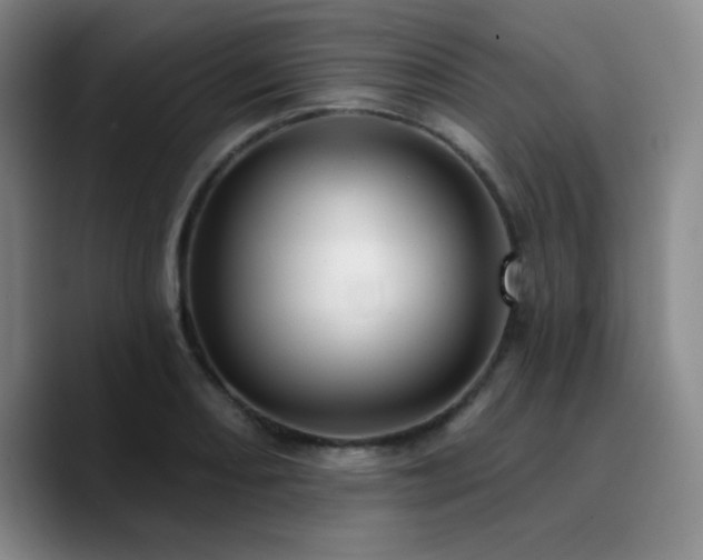 X0000090731082200707201404