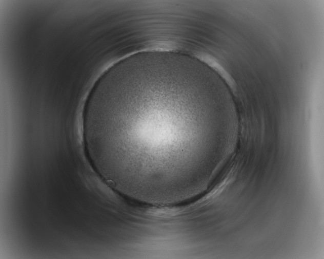 X0000090731083200707201404