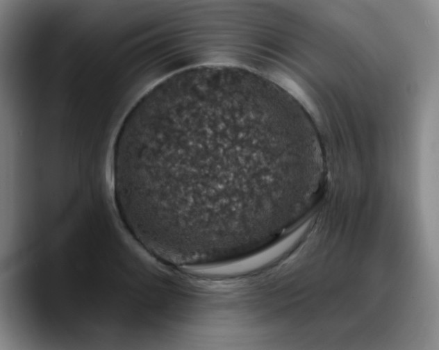 X0000090731084200707201404