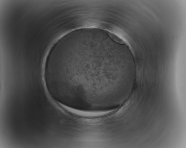 X0000090731088200707201404