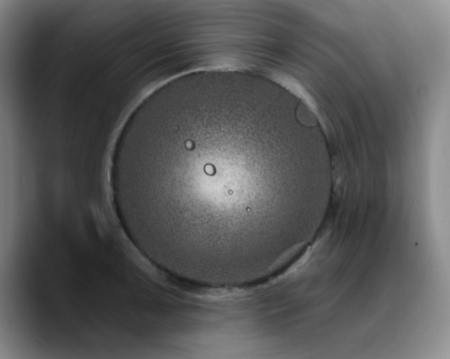 X0000090731091200707201404