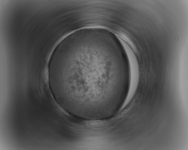 X0000090731092200707201404