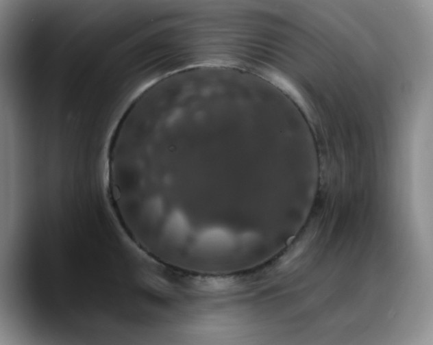 X0000090731095200707201404