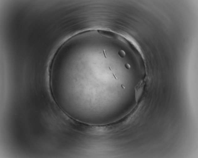 X0000090731096200707201404