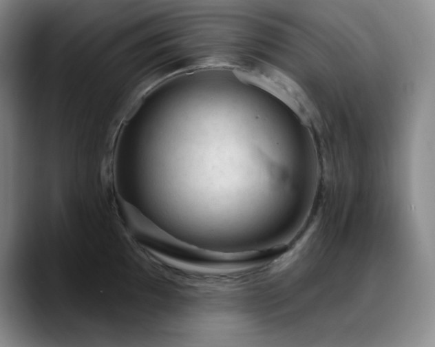 X0000090731097200707201404