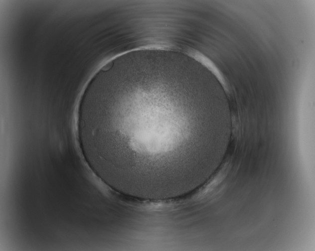 X0000090731099200707201404
