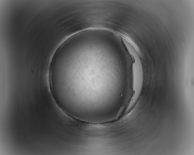 X0000090731100200707201404