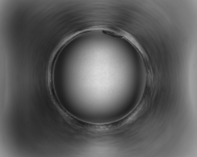 X0000090731101200707201404
