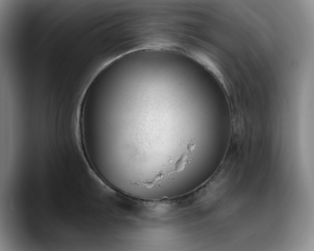 X0000090731103200707201404