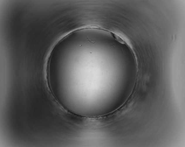 X0000090731104200707201403