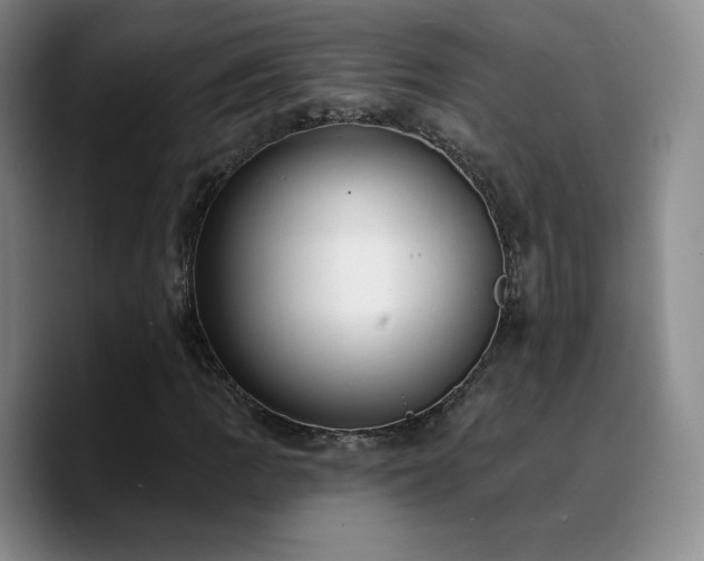 X0000090731109200707201403