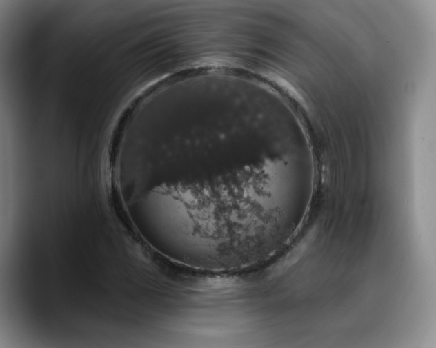 X0000090731117200707201403