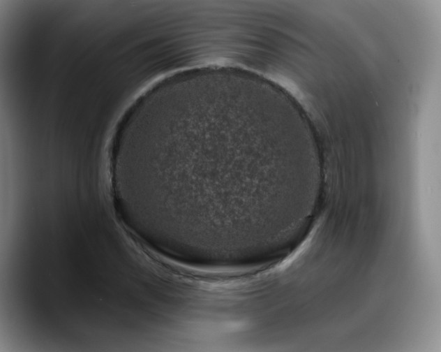 X0000090731118200707201403