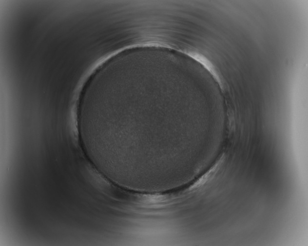X0000090731120200707201403