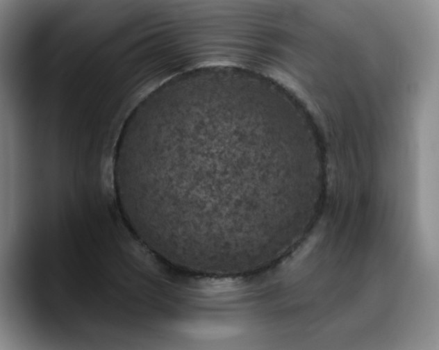 X0000090731121200707201403