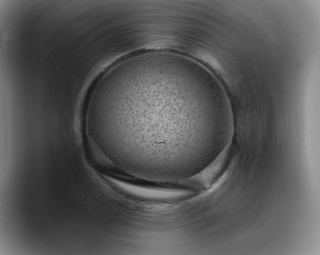 X0000090731122200707201403