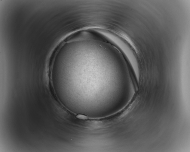 X0000090731124200707201403