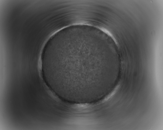 X0000090731125200707201403