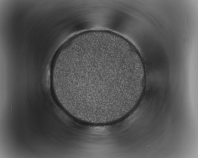 X0000090731126200707201403